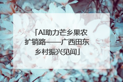 AI助力芒乡果农扩销路——广西田东乡村振兴见闻